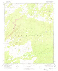 Download a high-resolution, GPS-compatible USGS topo map for Tudecoz Spring, AZ (1975 edition)