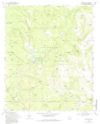 Download a high-resolution, GPS-compatible USGS topo map for Turkey Mtn, AZ (1979 edition)