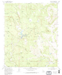 Download a high-resolution, GPS-compatible USGS topo map for Turkey Mtn, AZ (1979 edition)