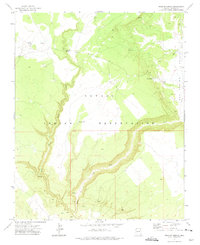 Download a high-resolution, GPS-compatible USGS topo map for Uranium Spring, AZ (1975 edition)
