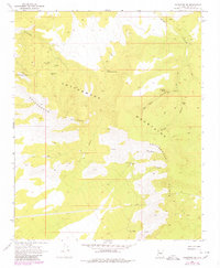 Download a high-resolution, GPS-compatible USGS topo map for Valentine SE, AZ (1980 edition)