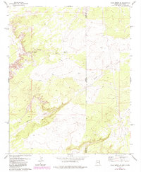 Download a high-resolution, GPS-compatible USGS topo map for Valle Bonito NE, AZ (1984 edition)