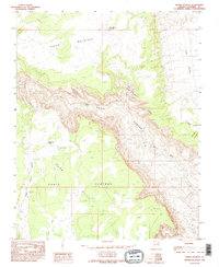 Download a high-resolution, GPS-compatible USGS topo map for Water Pockets, AZ (1995 edition)