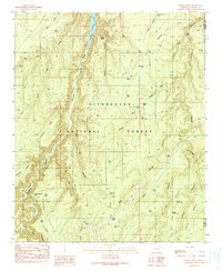 Download a high-resolution, GPS-compatible USGS topo map for Weimer Point, AZ (1991 edition)