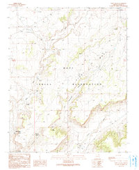 Download a high-resolution, GPS-compatible USGS topo map for Wepo Village, AZ (1991 edition)