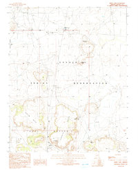 Download a high-resolution, GPS-compatible USGS topo map for White Cone, AZ (1991 edition)