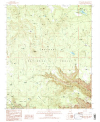 Download a high-resolution, GPS-compatible USGS topo map for White Horse Lake, AZ (1990 edition)