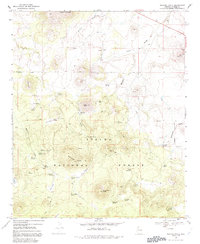 Download a high-resolution, GPS-compatible USGS topo map for Whiting Knoll, AZ (1992 edition)