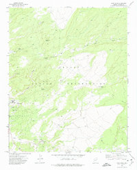 Download a high-resolution, GPS-compatible USGS topo map for Wide Ruins, AZ (1974 edition)