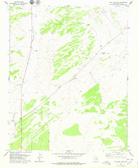Download a high-resolution, GPS-compatible USGS topo map for Wild Cow Lake, AZ (1979 edition)