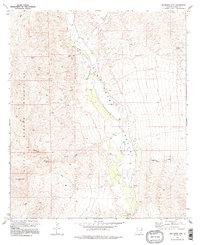 Download a high-resolution, GPS-compatible USGS topo map for Wildhorse Mtn, AZ (1996 edition)