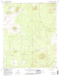 Download a high-resolution, GPS-compatible USGS topo map for Wing Mountain, AZ (1991 edition)