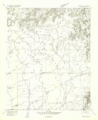 preview thumbnail of historical topo map of Navajo County, AZ in 1954
