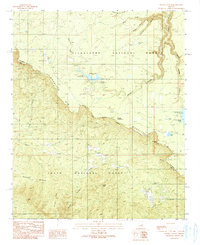Download a high-resolution, GPS-compatible USGS topo map for Woods Canyon, AZ (1991 edition)