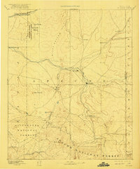 1892 Map of St Johns, 1921 Print