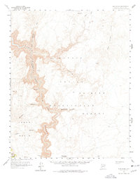 Download a high-resolution, GPS-compatible USGS topo map for Blue Spring, AZ (1978 edition)