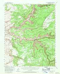 Download a high-resolution, GPS-compatible USGS topo map for Canyon Del Muerto, AZ (1959 edition)