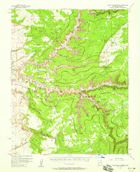 Download a high-resolution, GPS-compatible USGS topo map for Canyon Del Muerto, AZ (1971 edition)