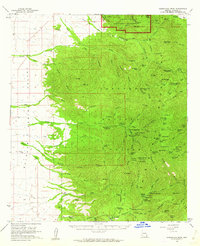 Download a high-resolution, GPS-compatible USGS topo map for Chiricahua Peak, AZ (1962 edition)