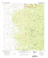 Download a high-resolution, GPS-compatible USGS topo map for Chiricahua Peak, AZ (1983 edition)