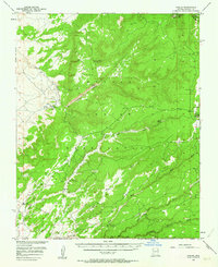 Download a high-resolution, GPS-compatible USGS topo map for Nazlini, AZ (1964 edition)