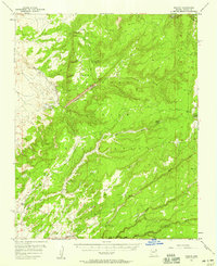 Download a high-resolution, GPS-compatible USGS topo map for Nazlini, AZ (1959 edition)