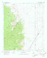 Download a high-resolution, GPS-compatible USGS topo map for Portal, AZ (1981 edition)