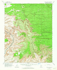 Download a high-resolution, GPS-compatible USGS topo map for Powell Plateau, AZ (1964 edition)