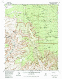 Download a high-resolution, GPS-compatible USGS topo map for Powell Plateau, AZ (1985 edition)
