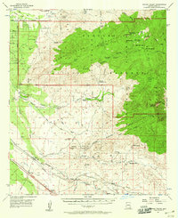 Download a high-resolution, GPS-compatible USGS topo map for Rincon Valley, AZ (1960 edition)