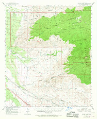 Download a high-resolution, GPS-compatible USGS topo map for Rincon Valley, AZ (1968 edition)