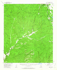 Download a high-resolution, GPS-compatible USGS topo map for Show Low, AZ (1963 edition)