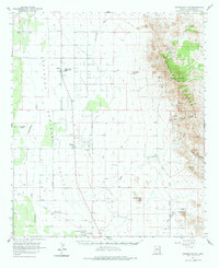 Download a high-resolution, GPS-compatible USGS topo map for Swisshelm Mtn, AZ (1981 edition)