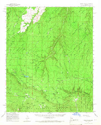 Download a high-resolution, GPS-compatible USGS topo map for Woods Canyon, AZ (1966 edition)