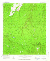 Download a high-resolution, GPS-compatible USGS topo map for Woods Canyon, AZ (1963 edition)