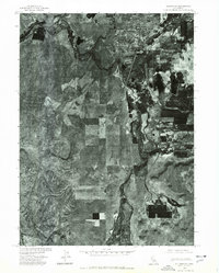 Download a high-resolution, GPS-compatible USGS topo map for Alturas NE, CA (1978 edition)