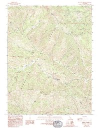 Download a high-resolution, GPS-compatible USGS topo map for Barlett Springs, CA (1994 edition)