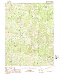 Download a high-resolution, GPS-compatible USGS topo map for Bartlett Springs, CA (1989 edition)
