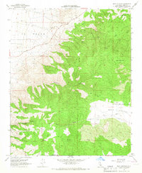 Download a high-resolution, GPS-compatible USGS topo map for Bear Mountain, CA (1967 edition)