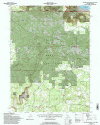 Download a high-resolution, GPS-compatible USGS topo map for Beaver Mountain, CA (1996 edition)