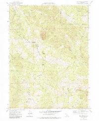 Download a high-resolution, GPS-compatible USGS topo map for Bell Springs, CA (1984 edition)