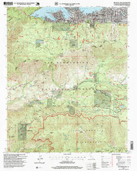 Download a high-resolution, GPS-compatible USGS topo map for Big Bear Lake, CA (1999 edition)