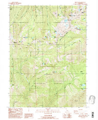 Download a high-resolution, GPS-compatible USGS topo map for Billys Peak, CA (1986 edition)