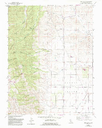 Download a high-resolution, GPS-compatible USGS topo map for Bird Valley, CA (1993 edition)
