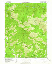 Download a high-resolution, GPS-compatible USGS topo map for Blue Nose Mtn, CA (1963 edition)