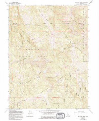 Download a high-resolution, GPS-compatible USGS topo map for Bluenose Ridge, CA (1994 edition)