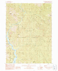Download a high-resolution, GPS-compatible USGS topo map for Bollibokka Mountain, CA (1990 edition)
