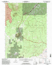 Download a high-resolution, GPS-compatible USGS topo map for Border Mountain, CA (1996 edition)