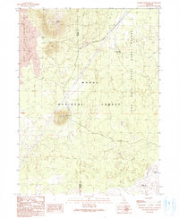 Download a high-resolution, GPS-compatible USGS topo map for Border Mountain, CA (1990 edition)