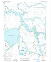 Download a high-resolution, GPS-compatible USGS topo map for Bouldin Island, CA (1993 edition)